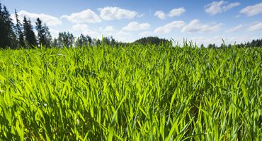 EPA Shares New Plan for Insecticide Safety