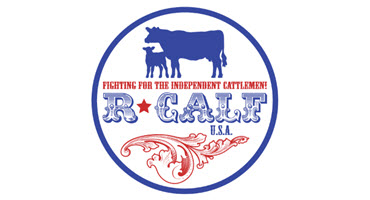 R-CALF USA Wins Big in Beef Market Price-Fixing Case