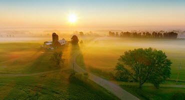 Farm Wage Spike Adds Cost Pressure