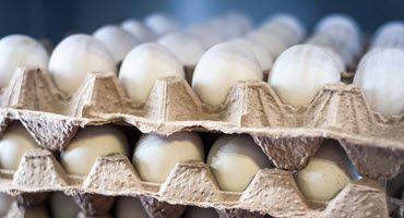 USDA Bird Flu Plan Cuts Egg Prices